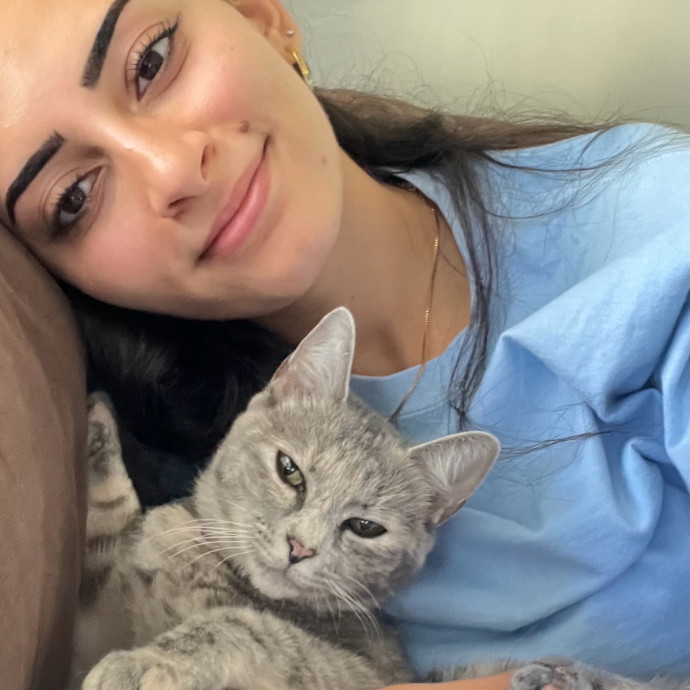 Cat Videos Are My Love Language