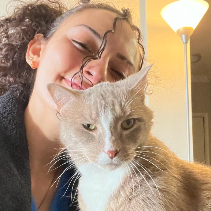 Cat Videos Are My Love Language