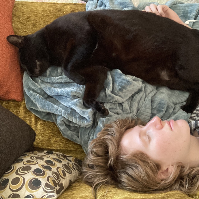 Nellie The Kitty Lover