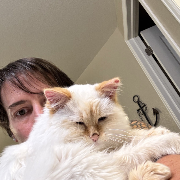 Loving Cat Sitter