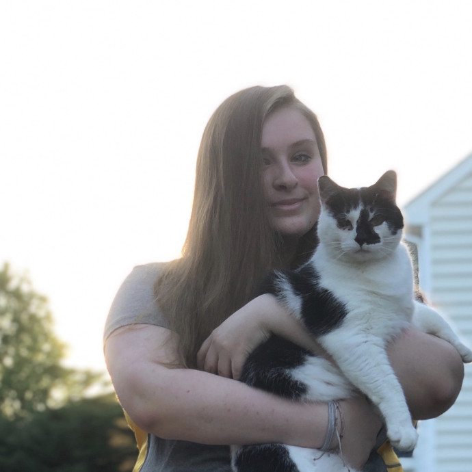 Crazy Cat Lady 75 5 Star Reviews