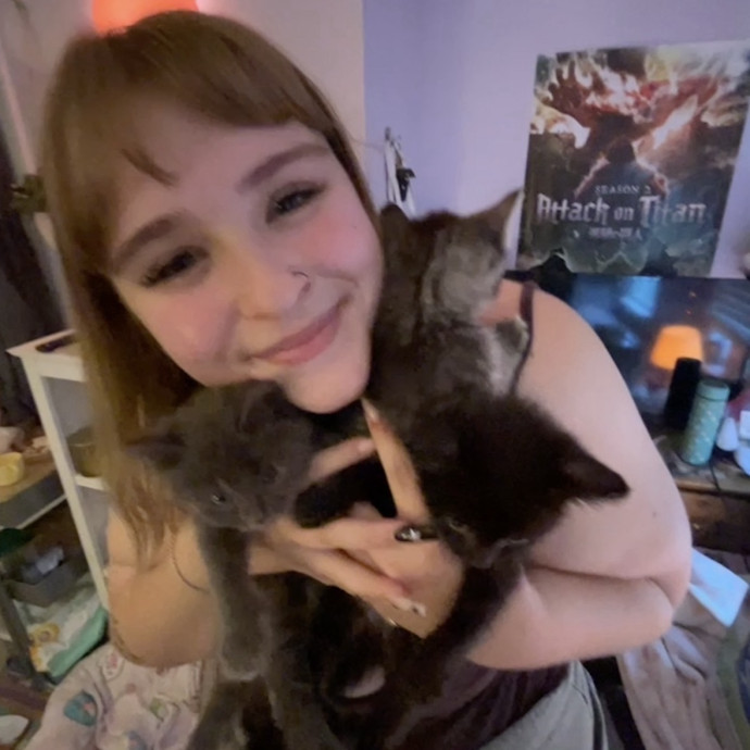 Crazy Cat Lady 75 5 Star Reviews
