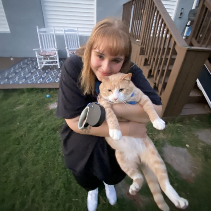 Crazy Cat Lady 75 5 Star Reviews