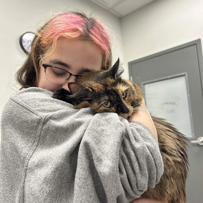 The Cat Whisperer