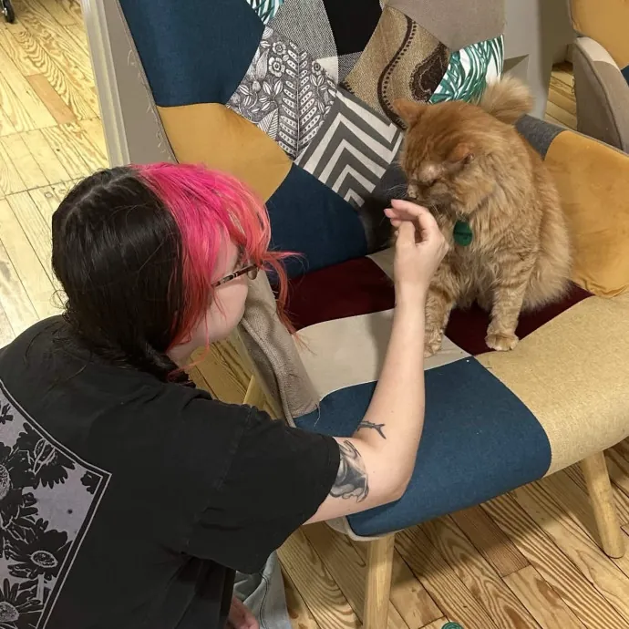 The Cat Whisperer photo 3