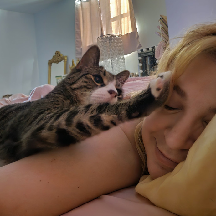 Cat-Oholics Anon Member
