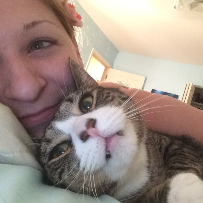 Cat-Oholics Anon Member