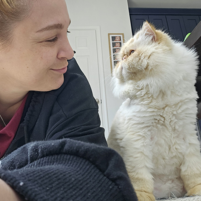 Cat-Oholics Anon Member