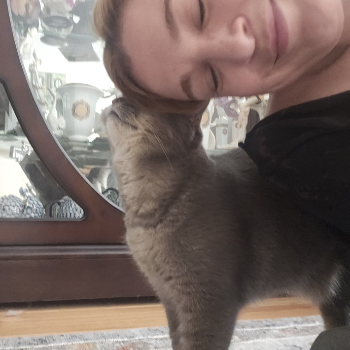 Cat-Oholics Anon Member