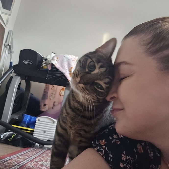 Cat-Oholics Anon Member