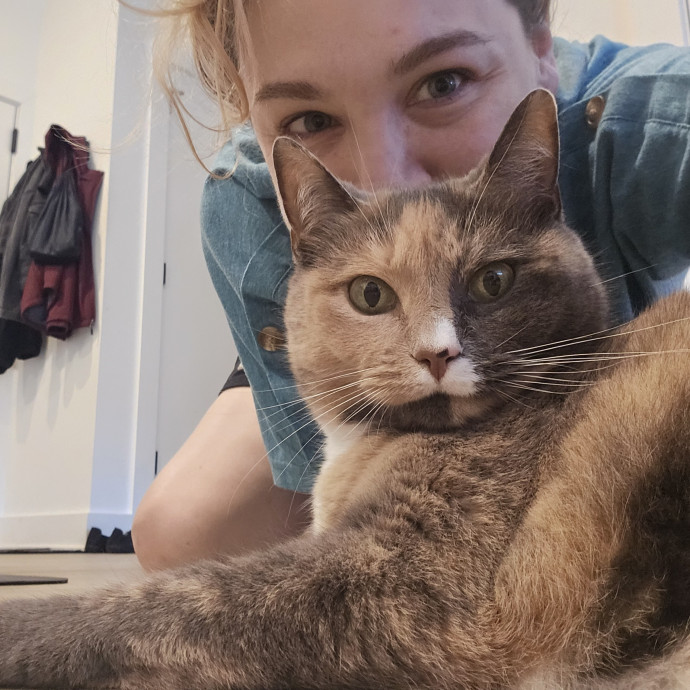 Cat-Oholics Anon Member photo 2
