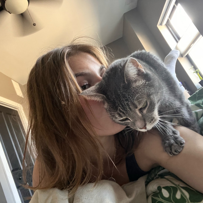 Morgan's Cat Care Central photo 3