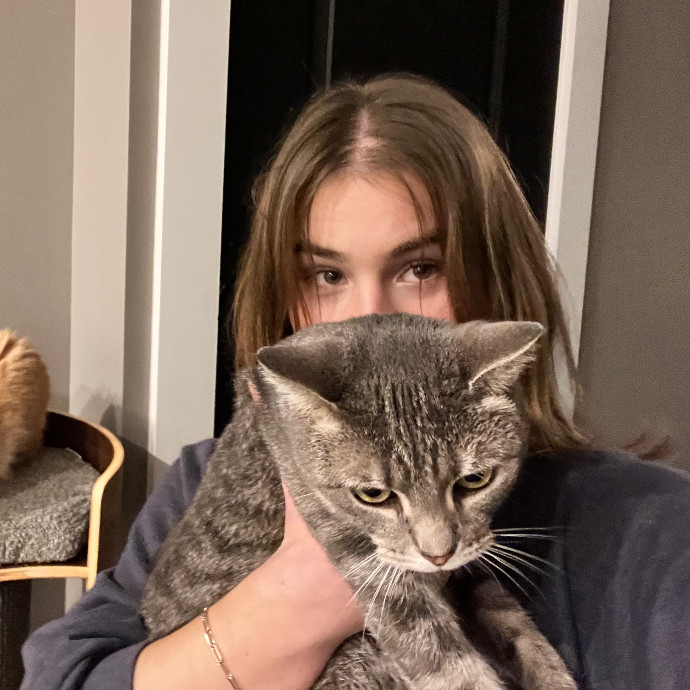 Morgan's Cat Care Central photo 2