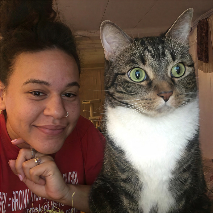 South Brooklyn Cat Sitter