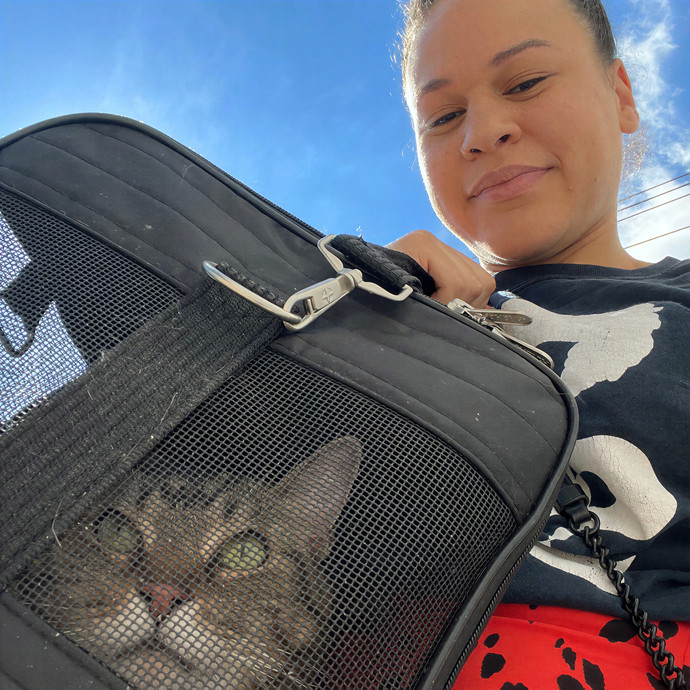 South Brooklyn Cat Sitter