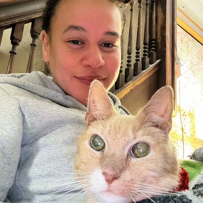 South Brooklyn Cat Sitter