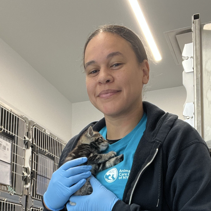 South Brooklyn Cat Sitter