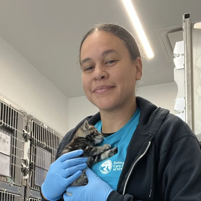 South Brooklyn Cat Sitter