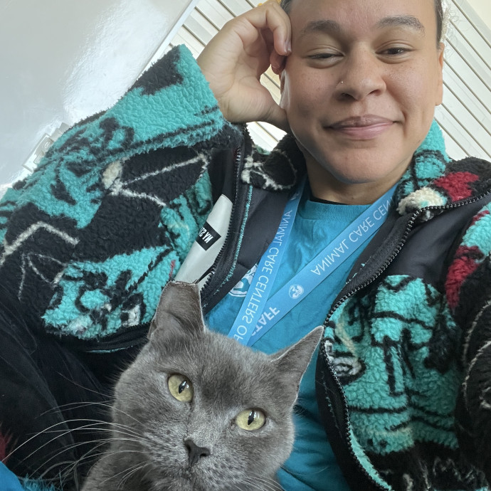 South Brooklyn Cat Sitter