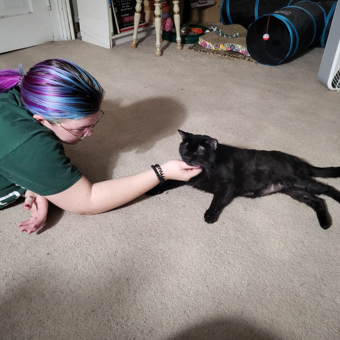 Caring Cat Caretaker