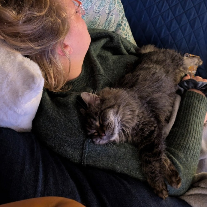 Experienced And Responsible Catsitter