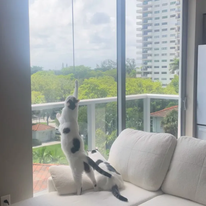 Downtown West Palm - Flexible Schedule