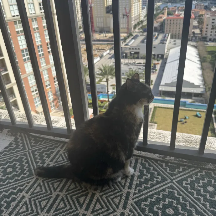Downtown West Palm - Flexible Schedule photo 3