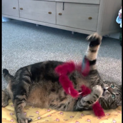 Photo #2 Photo #2
