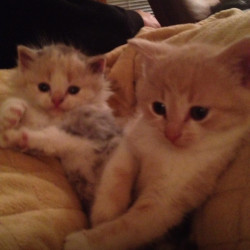 Photo #1 Photo #1
