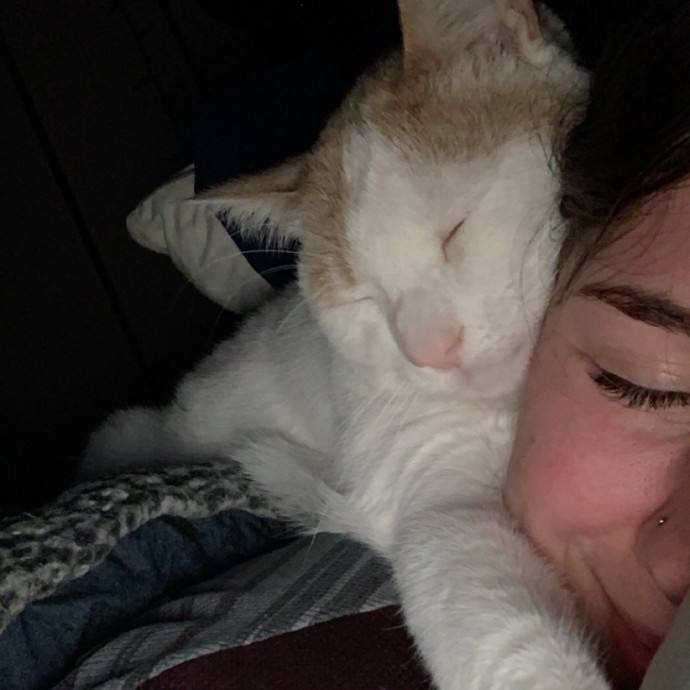 Compassionate And Attentive Sitter