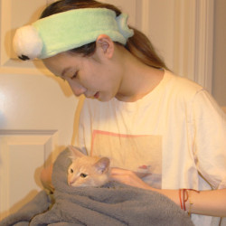 Photo #4