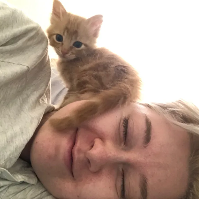 Lena's Cat Sitting Service