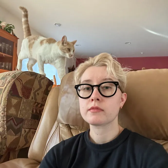 Lena's Cat Sitting Service photo 3