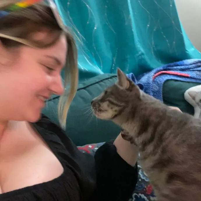 Phd Student W Passion For Kitties