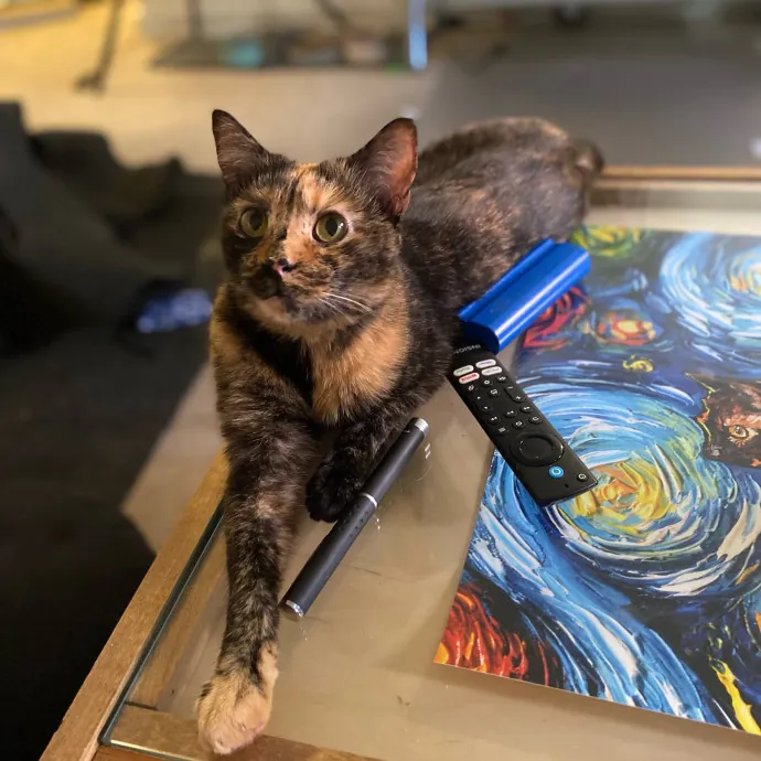 Phd Student W Passion For Kitties