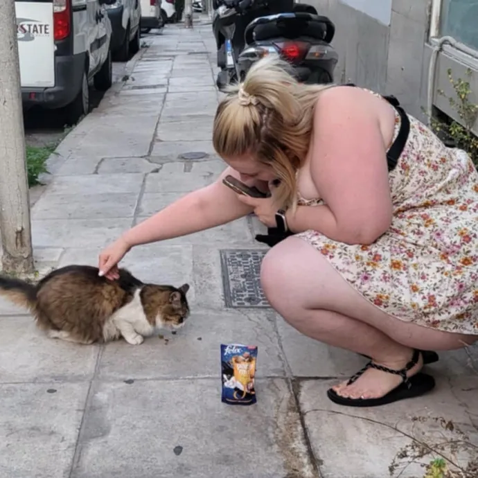 Phd Student W Passion For Kitties