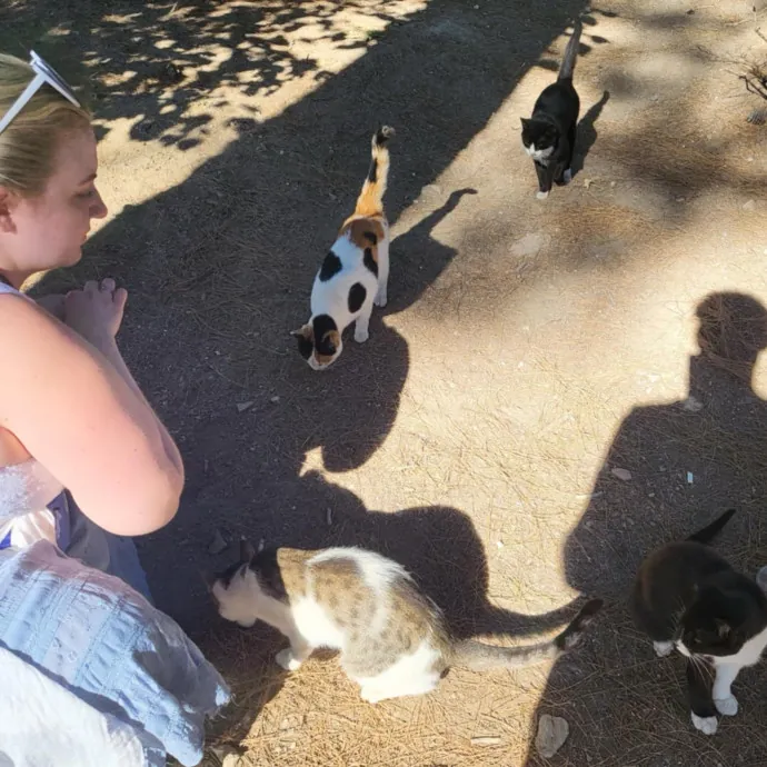 Phd Student W Passion For Kitties