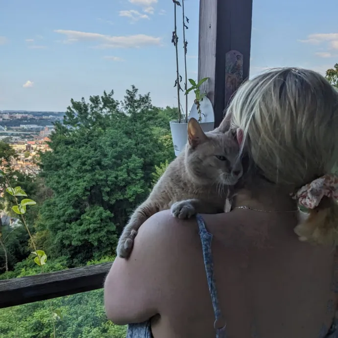 Phd Student W Passion For Kitties