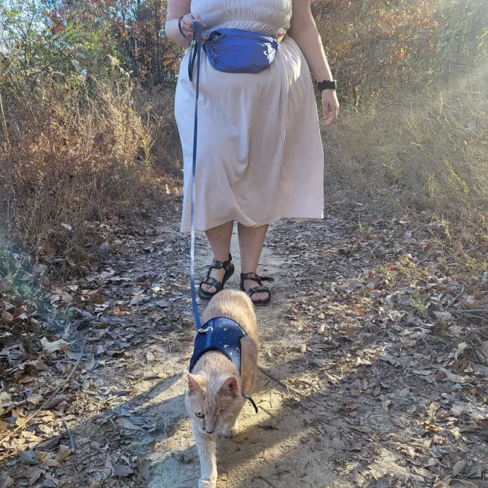 Phd Student W Passion For Kitties photo 4