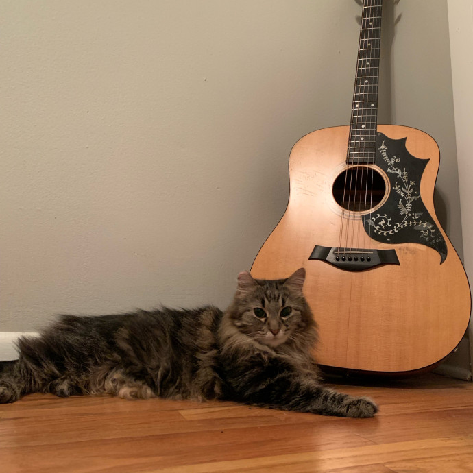Cleocatra