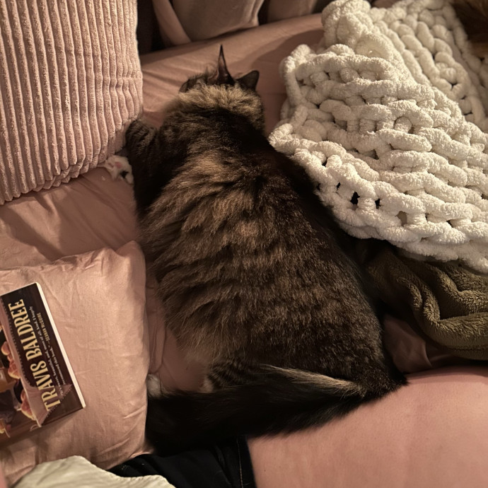 Jess's Pet Sitting Services