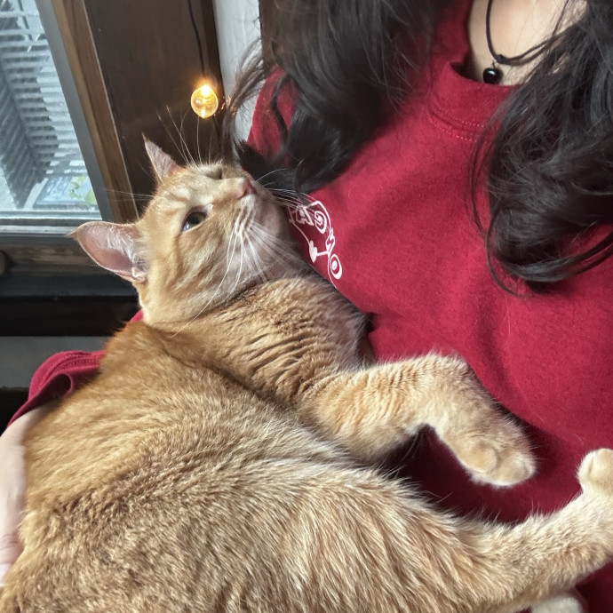 Flexible Loving Cat Sitter photo 3