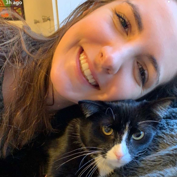 Phd Student Who Loves Cats