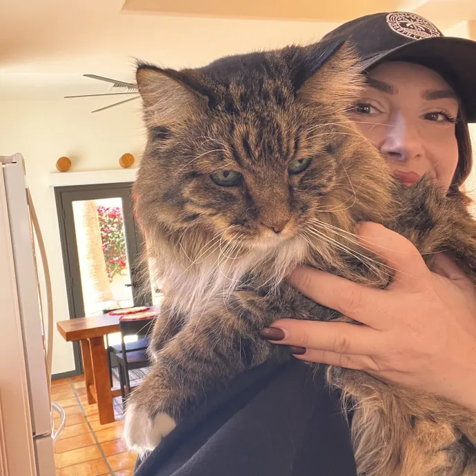 The Ultimate Cat Companion