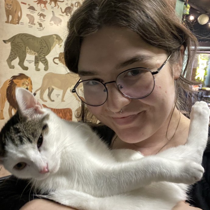 Kiwi's Kitty Care photo 3