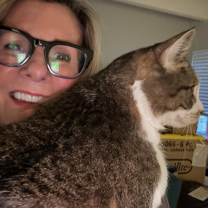 Mile High Kitty Services photo 2