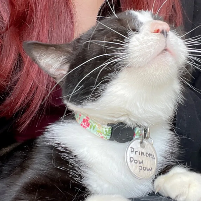 Dependable Cat Lover