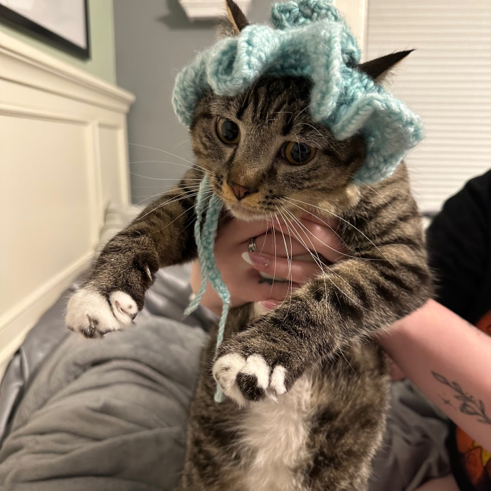 Genn's Kitty Comforts