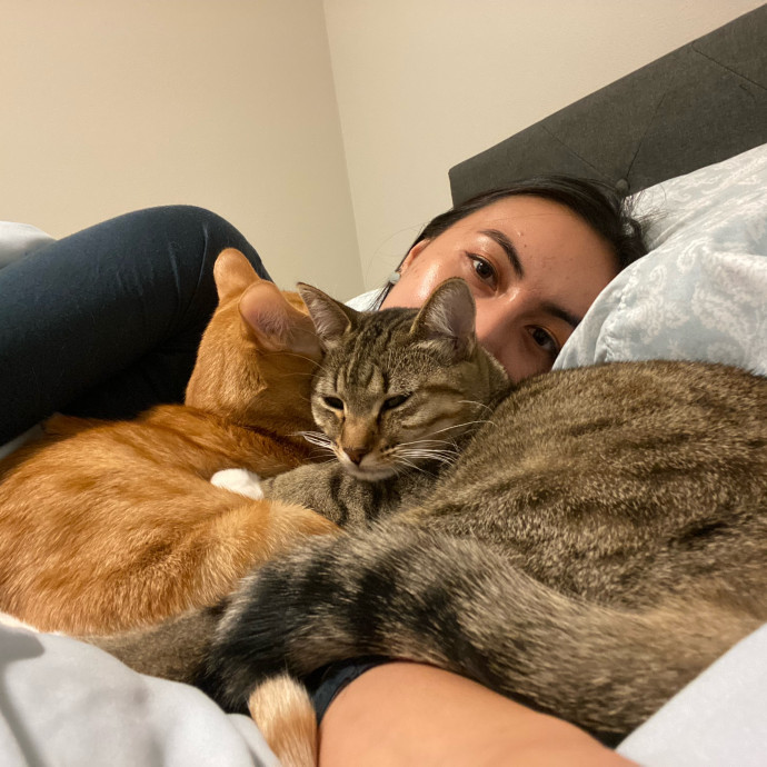 Paw-Sitive Cat Sitter