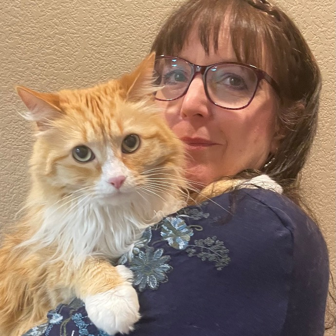 Noco Cat Nanny